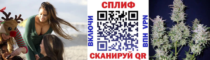 купить наркотики цена  Сурск  Конопля OG Kush 